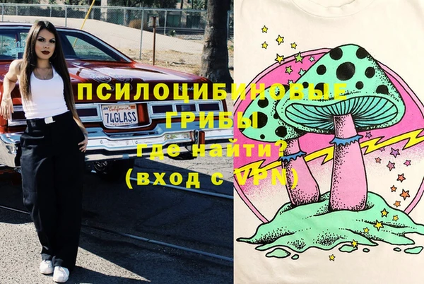 синтетический гашиш Алексин
