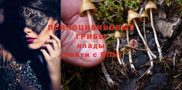 синтетический гашиш Алексин
